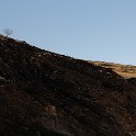  DSC4577