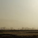  DSC4696