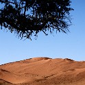  DSC4800