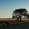  DSC4887