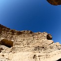  DSC4995