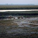  DSC5146