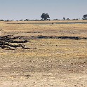  DSC5188