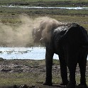  DSC5391