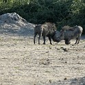  DSC5451