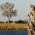  DSC5458