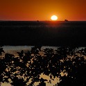  DSC5474