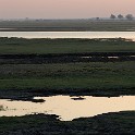  DSC5502