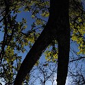  DSC5655
