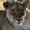  DSC5752