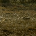  DSC5784