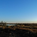  DSC5824