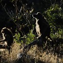  DSC5853 1