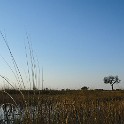  DSC6192