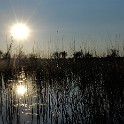  DSC6193 2