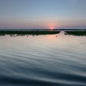 DSC 5037
