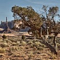 FarWest 11 2443