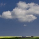 Scozia 2009 0423