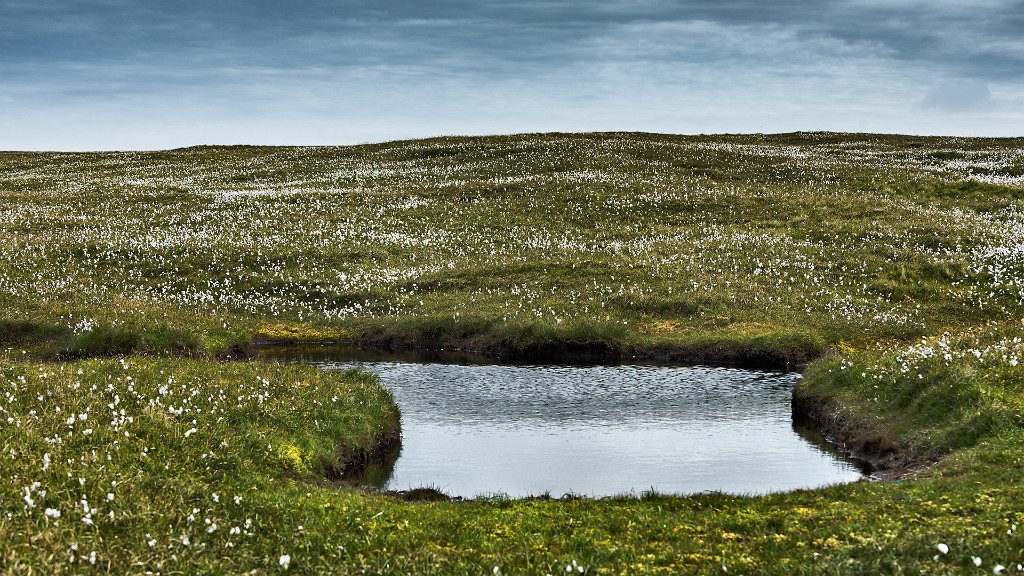 Shetland 179