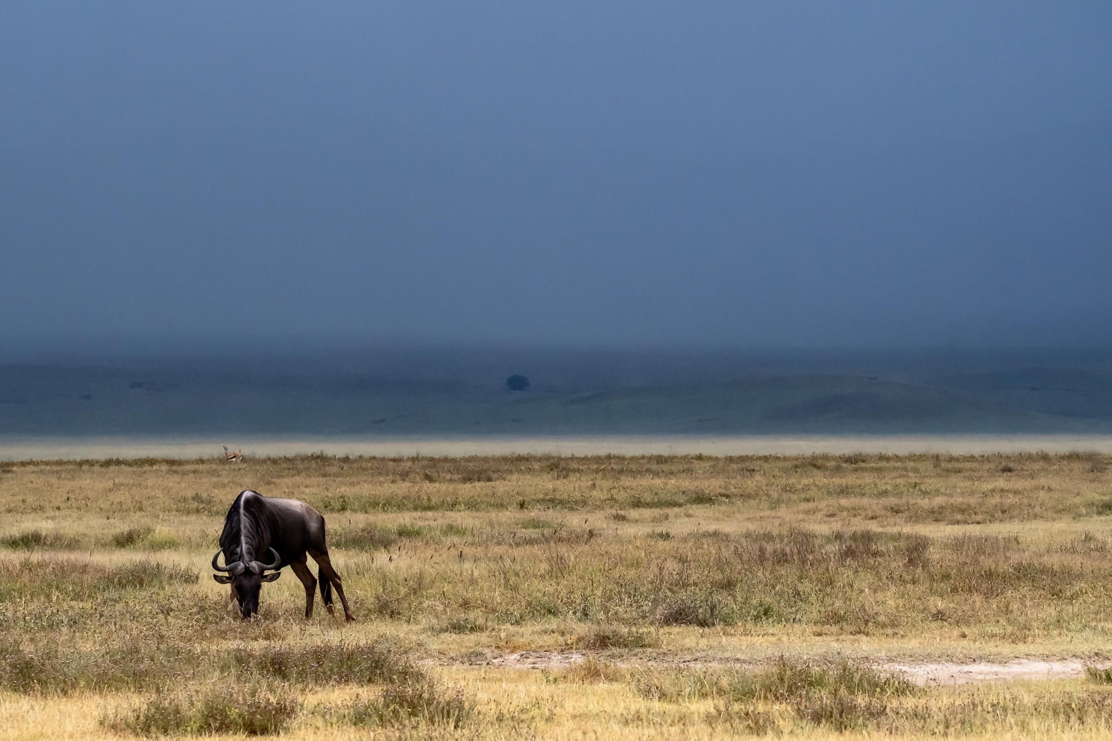 Tanzania2 3111
