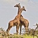 Tanzania2 0056