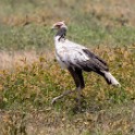 Tanzania2 0081