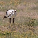 Tanzania2 0092