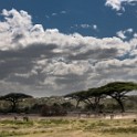 Tanzania2 0104
