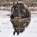 Tanzania2 0127