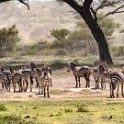 Tanzania2 0183