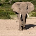 Tanzania2 0478