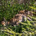 Tanzania2 1016
