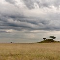 Tanzania2 2038