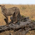 Tanzania2 2113