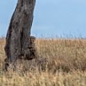 Tanzania2 2168