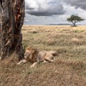 Tanzania2 2244