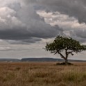 Tanzania2 2272