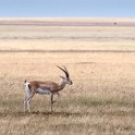Tanzania2 2358