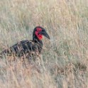 Tanzania2 2598