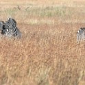 Tanzania2 2619