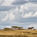 Tanzania2 2734