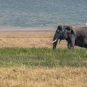 Tanzania2 2817