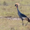 Tanzania2 2882