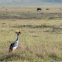 Tanzania2 2904