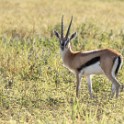 Tanzania2 2917