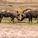 Tanzania2 3091