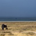 Tanzania2 3111