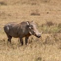 Tanzania2 3158