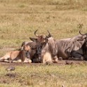 Tanzania2 3184