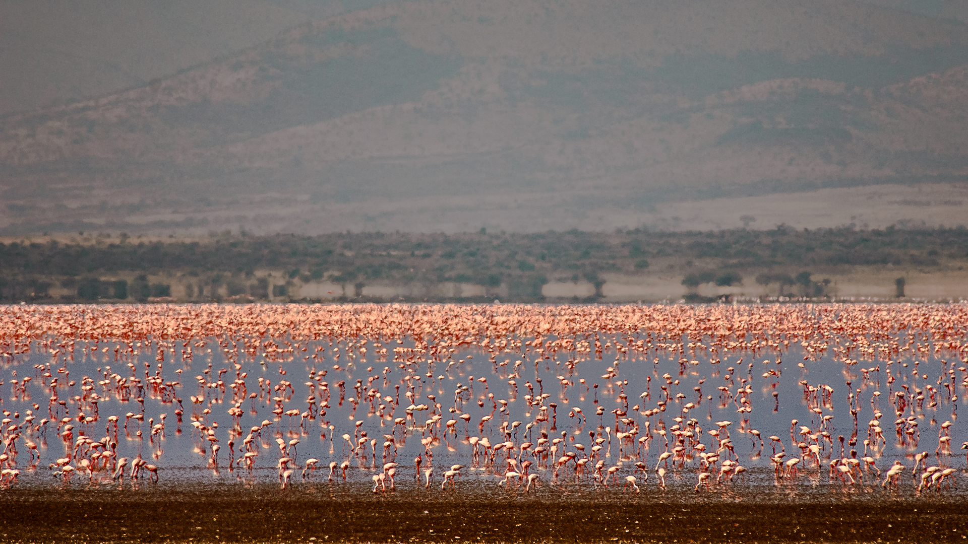 Tanzania 20080824 133451